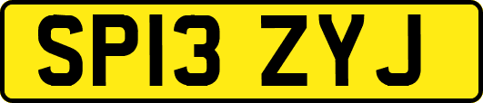 SP13ZYJ