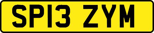 SP13ZYM