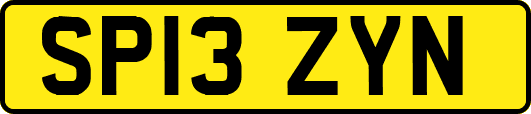 SP13ZYN