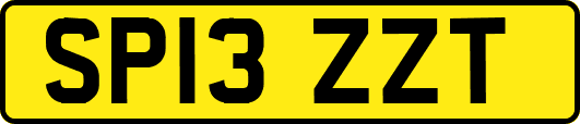 SP13ZZT