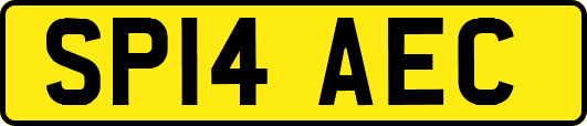SP14AEC