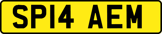 SP14AEM