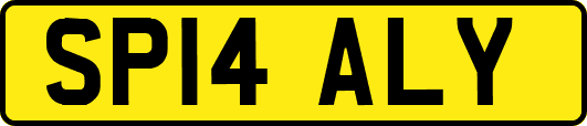 SP14ALY