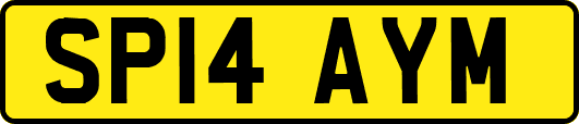 SP14AYM