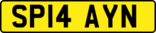 SP14AYN