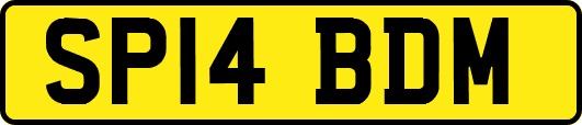 SP14BDM