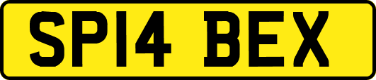 SP14BEX