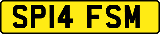 SP14FSM