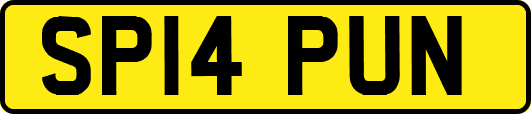 SP14PUN