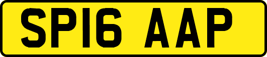 SP16AAP