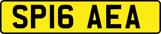 SP16AEA