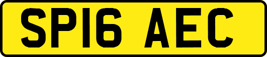SP16AEC