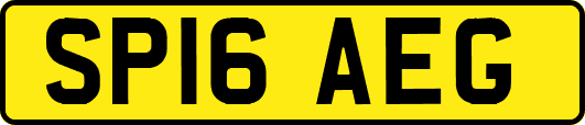 SP16AEG