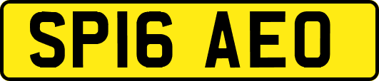 SP16AEO