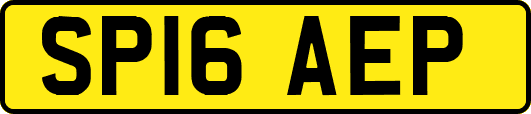 SP16AEP