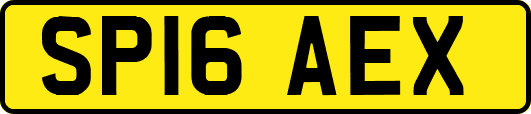 SP16AEX