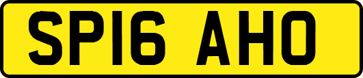 SP16AHO