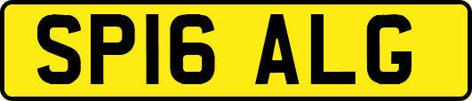 SP16ALG
