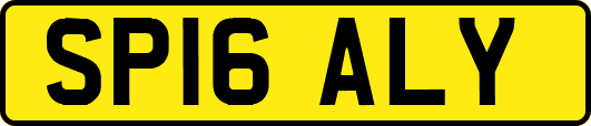 SP16ALY