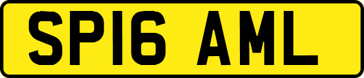 SP16AML