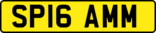SP16AMM
