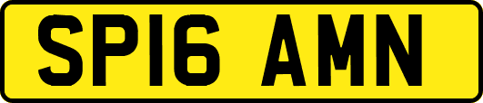 SP16AMN