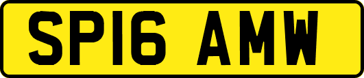 SP16AMW