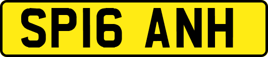 SP16ANH