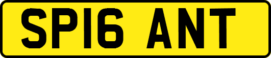 SP16ANT