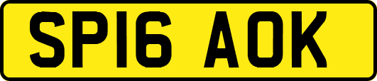 SP16AOK