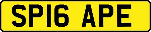 SP16APE