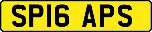 SP16APS