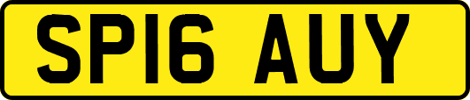SP16AUY