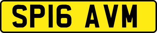 SP16AVM