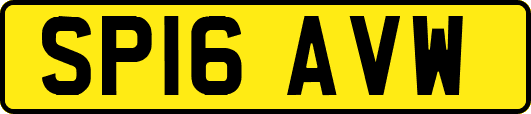 SP16AVW
