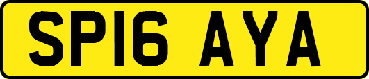 SP16AYA