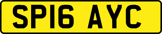 SP16AYC