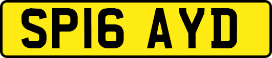 SP16AYD