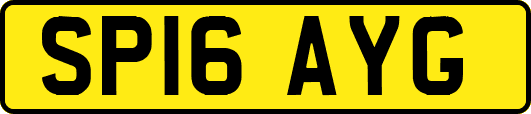 SP16AYG