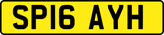 SP16AYH