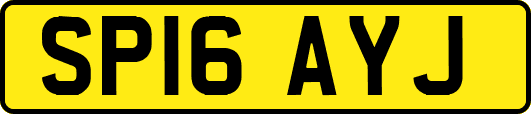 SP16AYJ