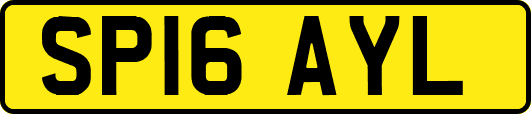 SP16AYL