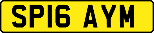 SP16AYM