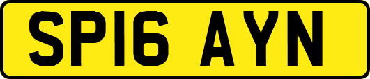 SP16AYN
