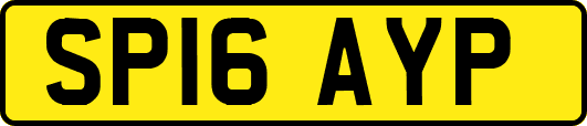 SP16AYP