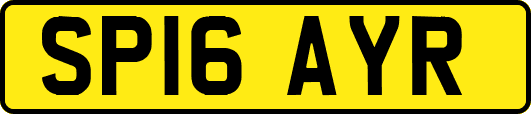 SP16AYR