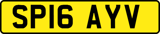 SP16AYV
