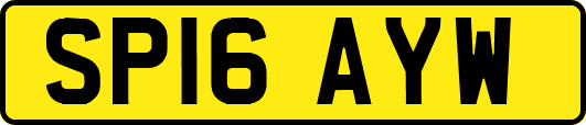 SP16AYW