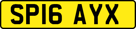 SP16AYX