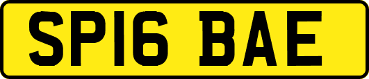 SP16BAE